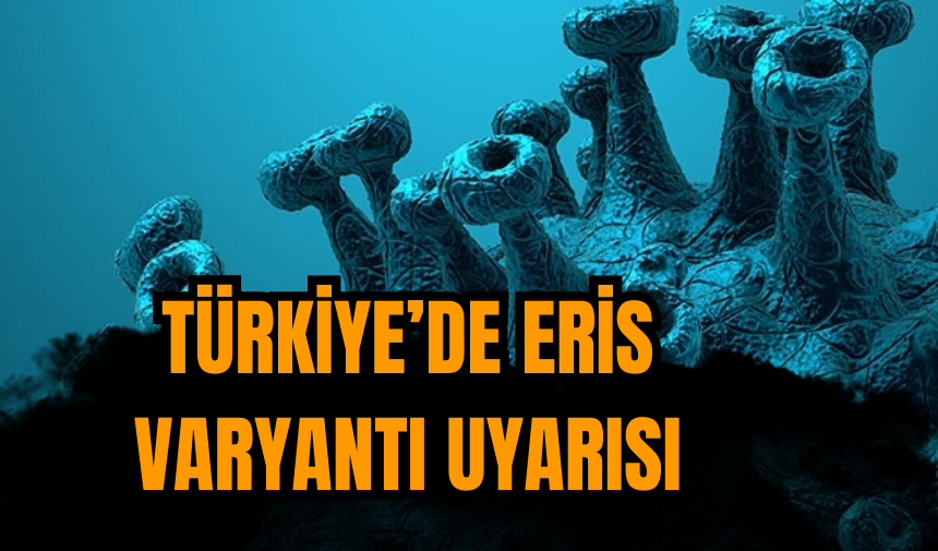 Türkiye'de Eris varyantı uyarısı