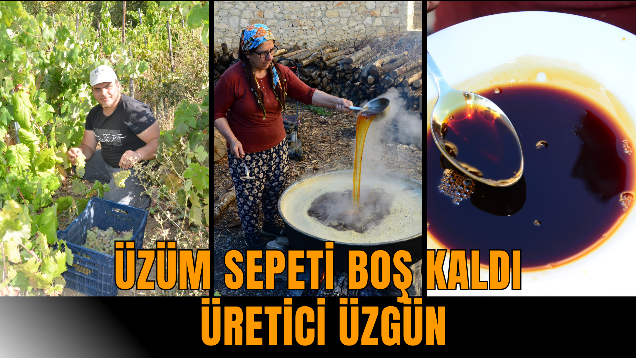 Üzüm sepeti boş kaldı üretici üzgün