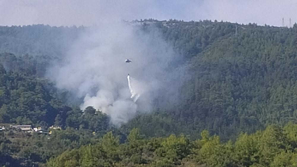 Alanya’da orman yangını