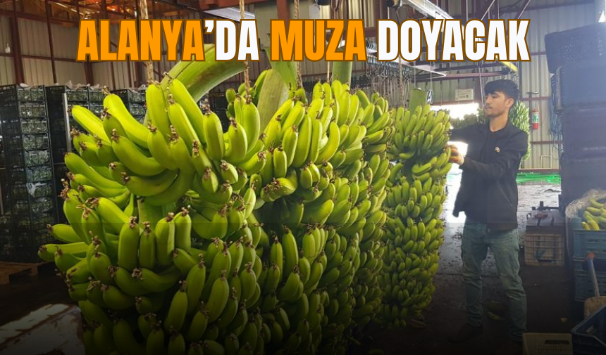 Alanya muza doyacak