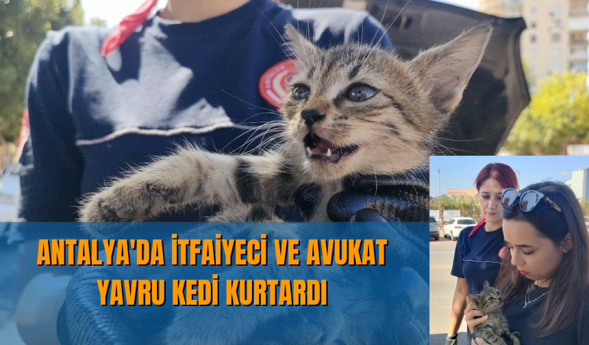 Antalya'da itfaiyeci ve avukat yavru kedi kurtardı