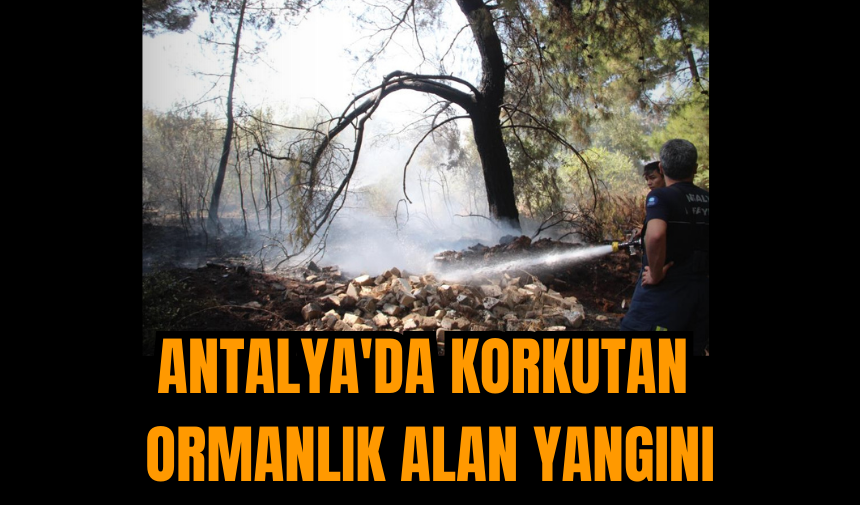 Antalya'da korkutan ormanlık alan yangını