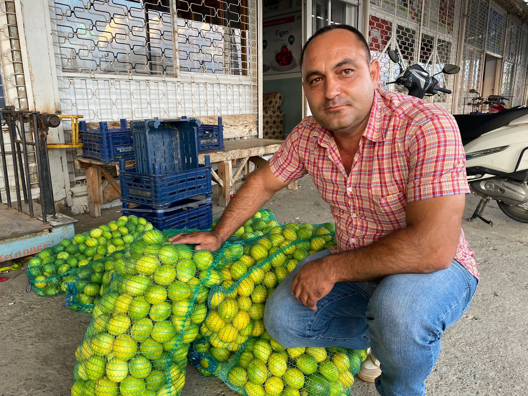 Limon dalında kaldı ! Fiyat düştü alıcı yok