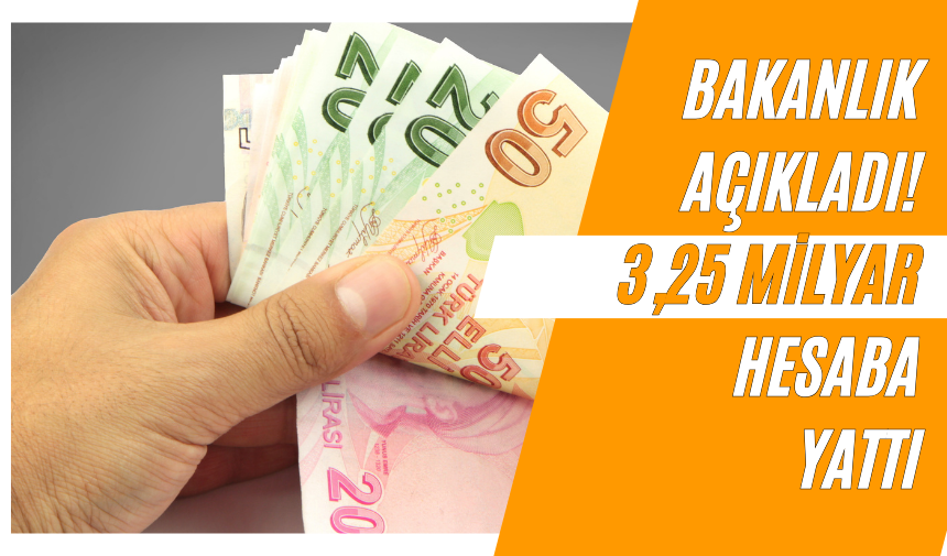 Bakanlık açıkladı! 3,25 milyar hesaba yattı