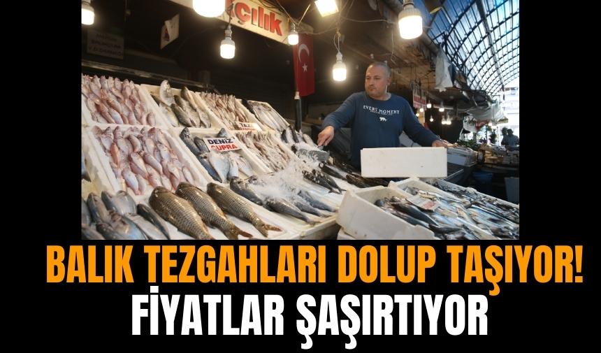 Balık tezgahları dolup taşıyor! Fiyatlar şaşırtıyor