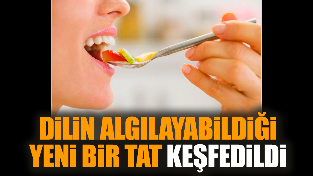 Dilin algılayabildiği yeni bir tat keşfedildi