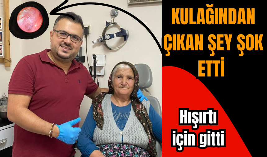 Kulağındaki hışırtı için gitti çıkan şey şoke etti