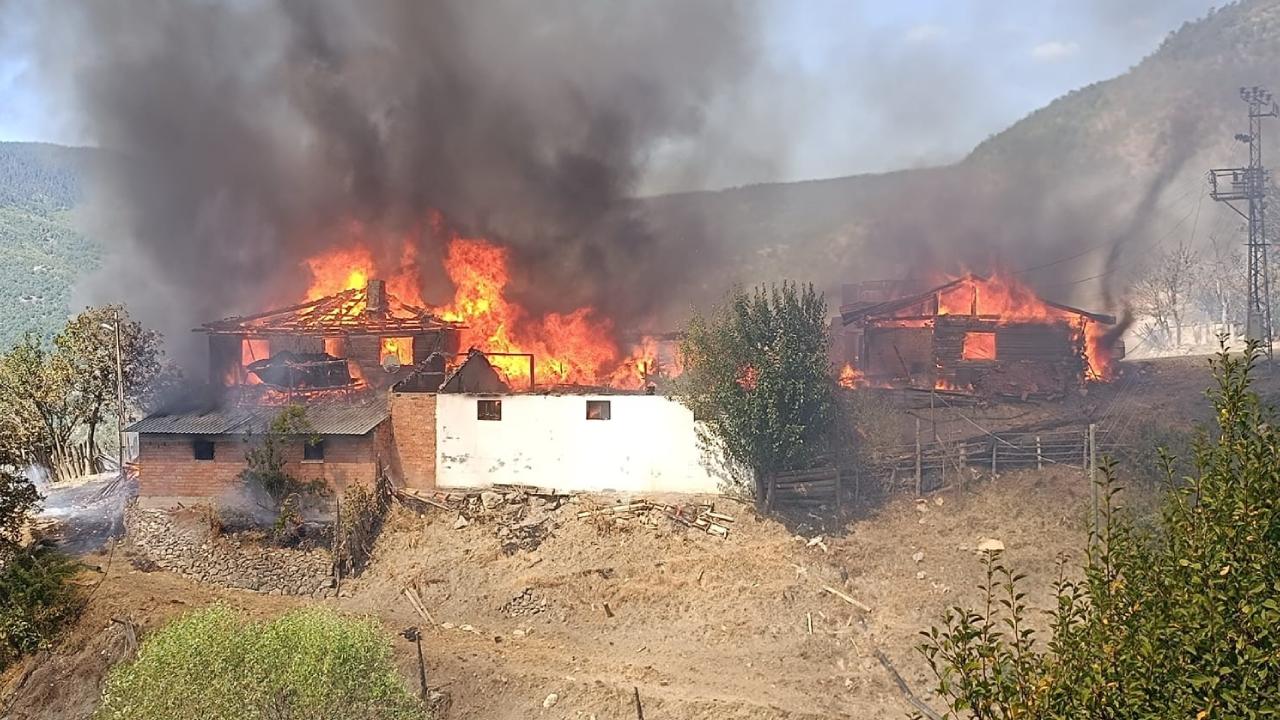 Kastamonu'da çıkan yangın devam ediyor