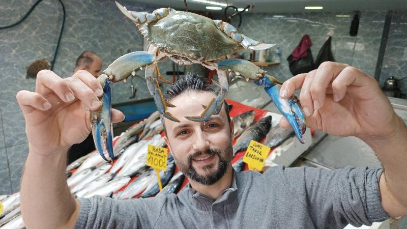 Samsun'da mavi yengeç alarmı