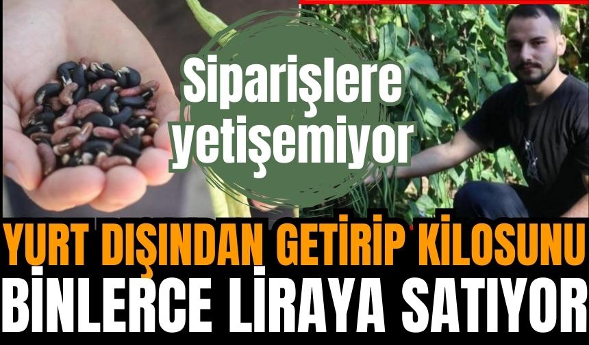 Türkiye'de tek! Yurt dışından getirip kilosunu 100 bin TL'den satıyor