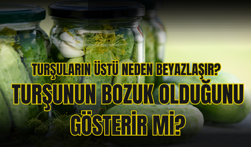 Turşuların üstü neden beyazlaşır? Turşunun bozuk olduğunu gösterir mi?