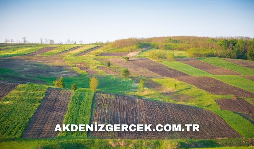 Konya Selçuklu'da mahkemeden satılık 6487 m² arsa