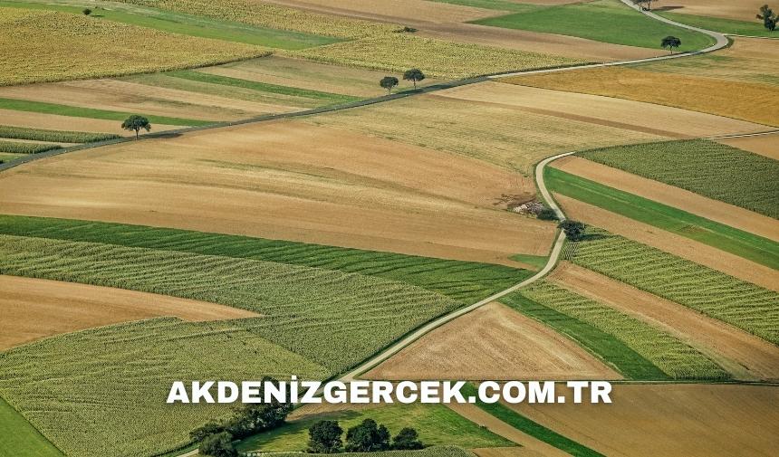 Amasya Taşova'da mahkemeden satılık 1.096 m² tarla