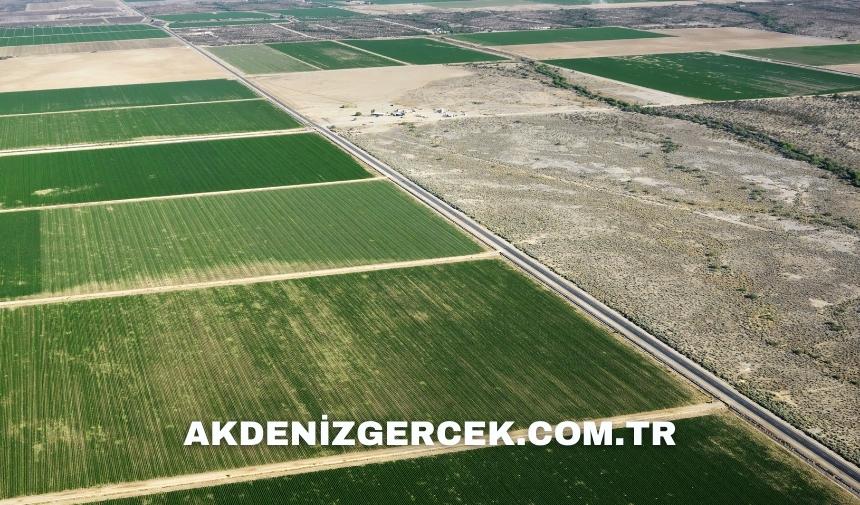 Antalya Kemer'de mahkemeden satılık 245 m² arsa