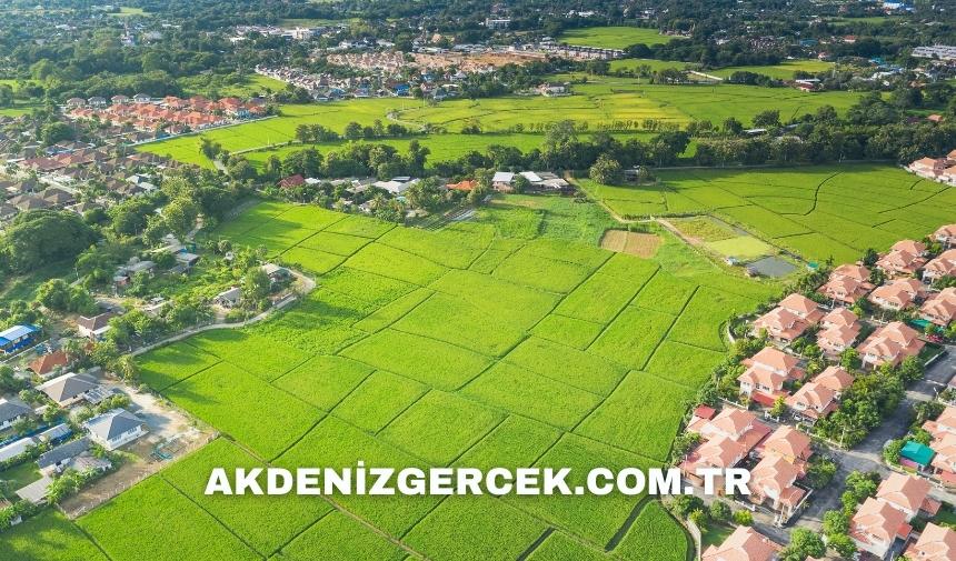 Denizli Pamukkale'de mahkemeden satılık 41.720 m² tarla