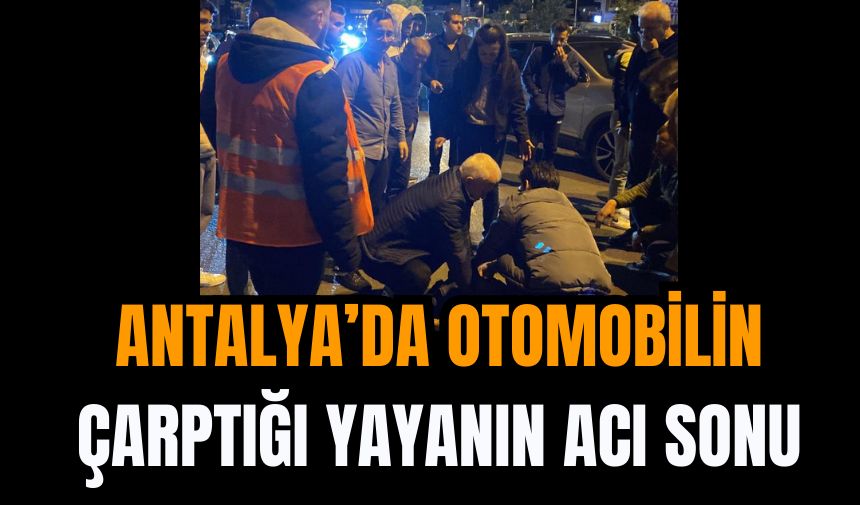 Antalya’da Otomobilin Çarptığı Yayanın Acı Sonu