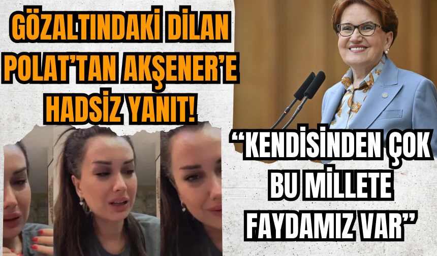 Dilan Polat'tan Meral Akşener'e hadsiz cevap!