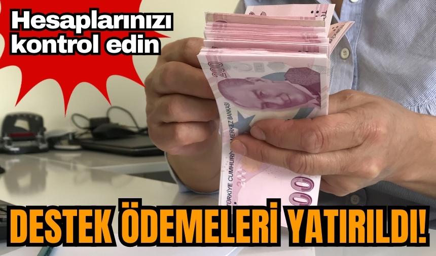 Destek ödemeleri yatırıldı! Hesaplarınızı kontrol edin