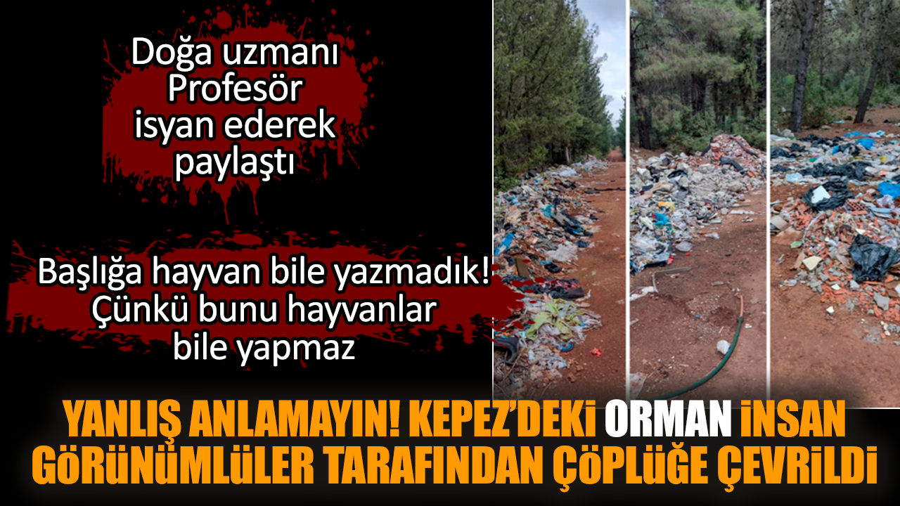 Kepez'deki orman insan görünümlülerce çöplük yapıldı