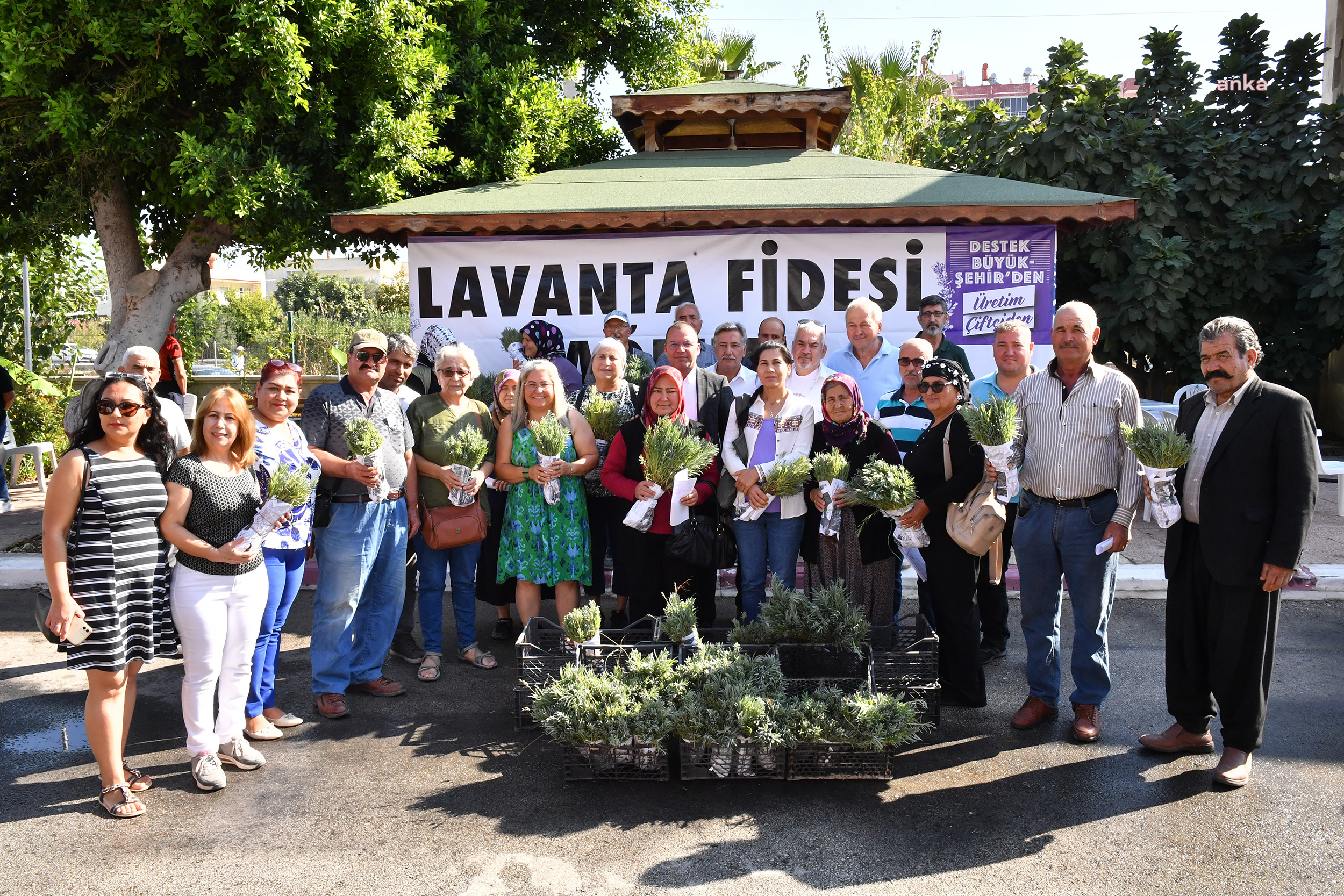 Mersin'de lavanta üretimine destek