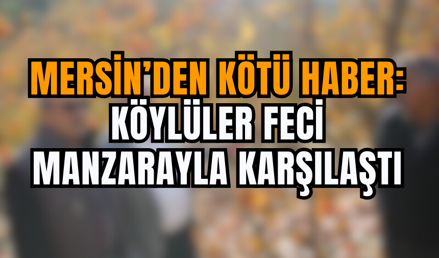 Mersin’den Kötü Haber: Köylüler Feci Manzarayla Karşılaştı