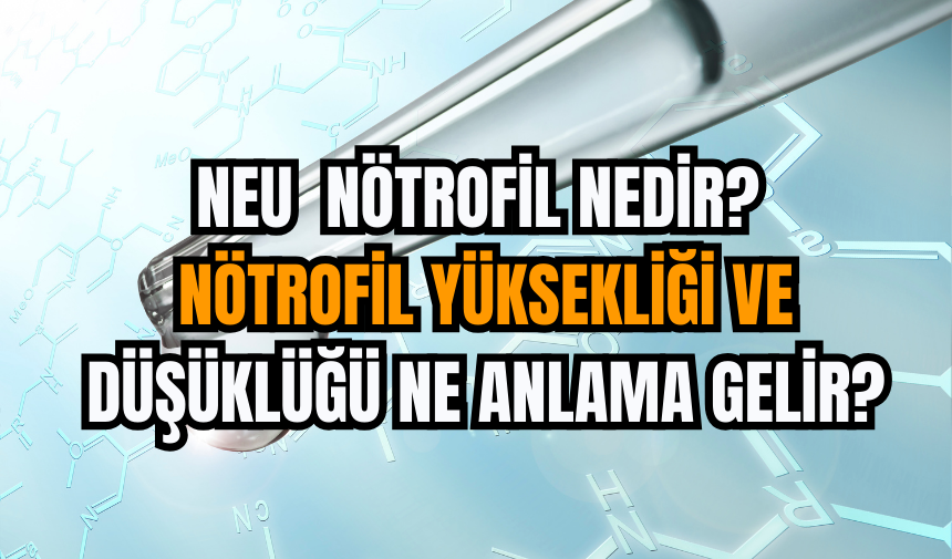 NEU: Nötrofil nedir? Nötrofil yüksekliği ve düşüklüğü ne anlama gelir?