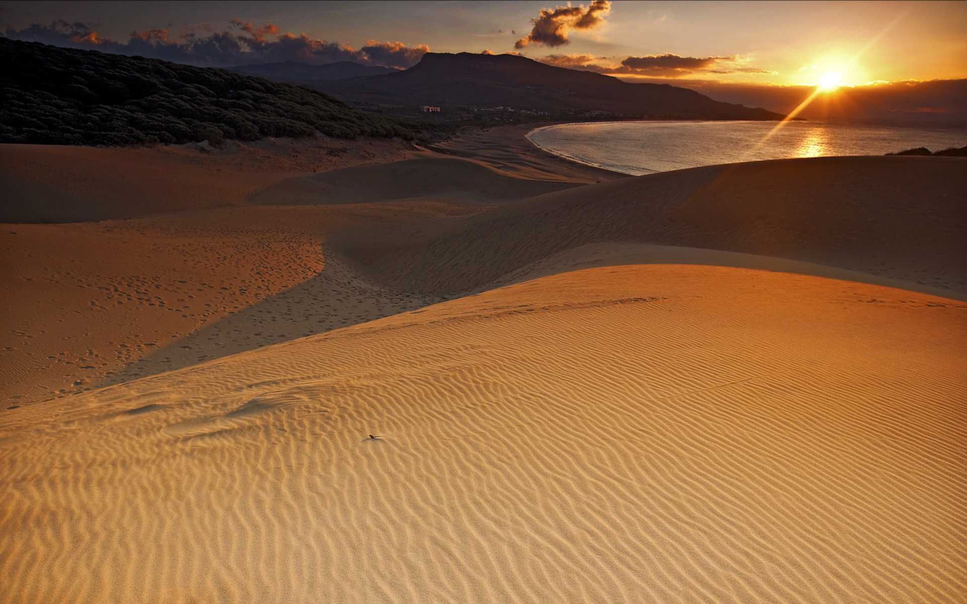 patara