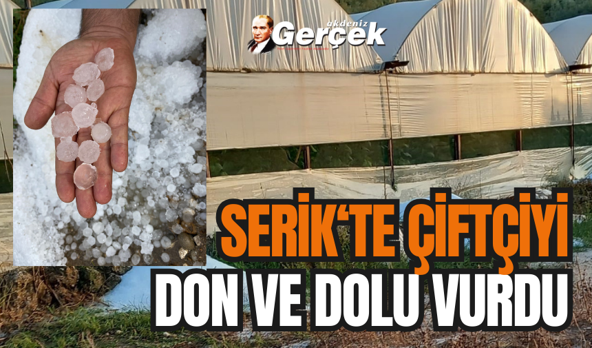 Serik'te seracılara don ve dolu şoku!