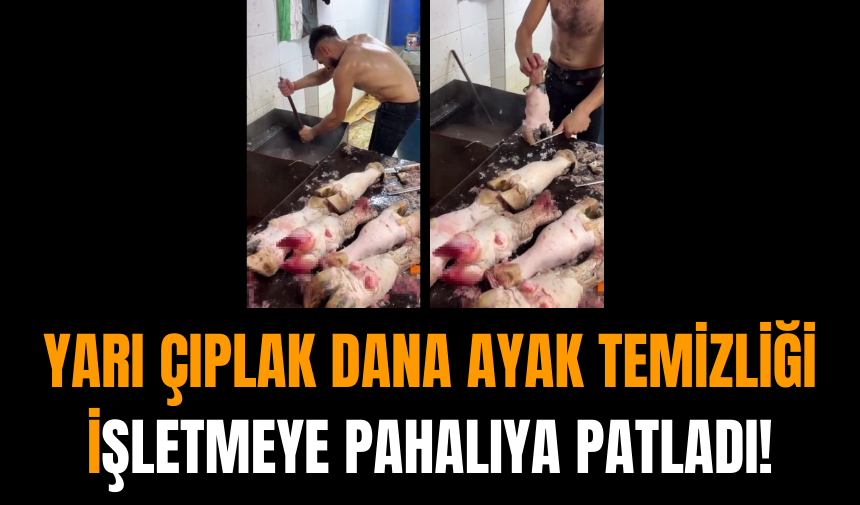 Yarı Çıplak Dana Ayak Temizliği İşletmeye Pahalıya Patladı!