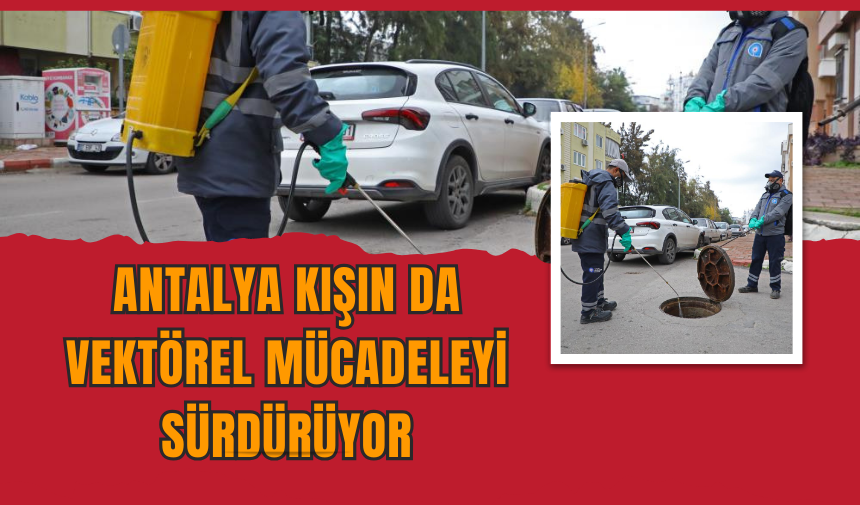 Antalya Kışın da Vektörel Mücadeleyi Sürdürüyor