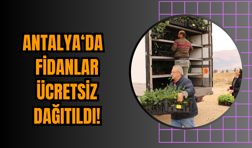 Antalya Fidanları Ücretsiz Dağıtıldı!