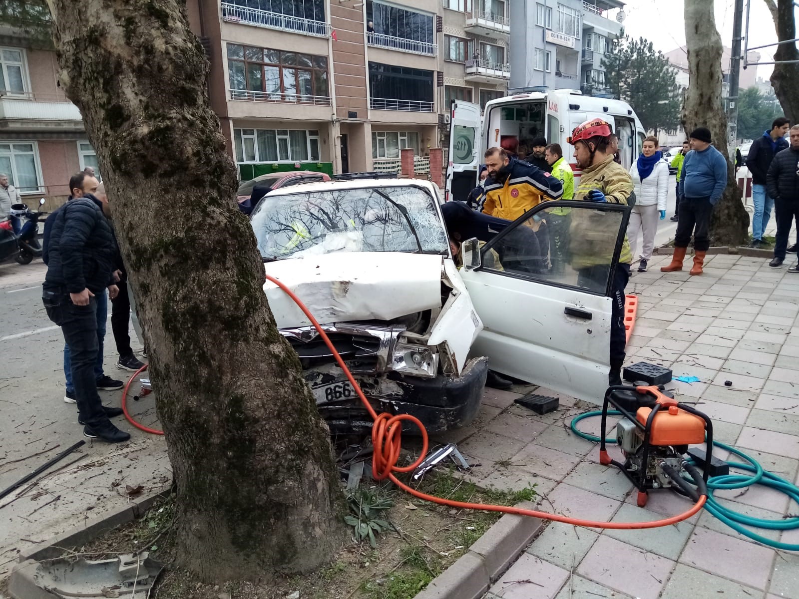 Direksiyonda fenalaşarak ağaca çarpan kamyonet sürücüsü hayatını kaybetti