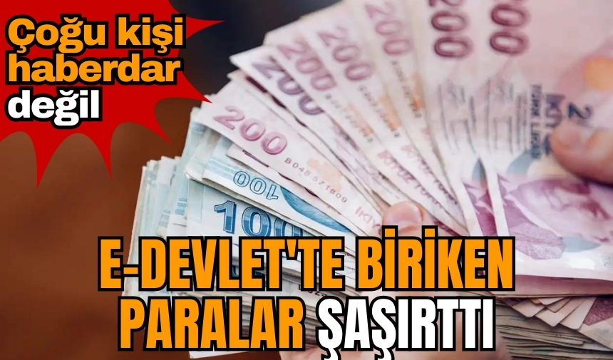 E-Devlet'te biriken paralar şaşırttı: Çoğu kişi haberdar değil