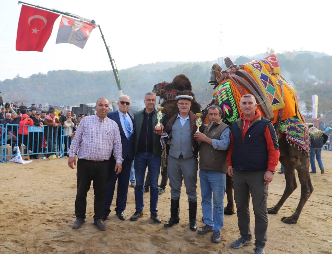 Alaşehir Deve Güreşleri Renkli Bir Şenlik