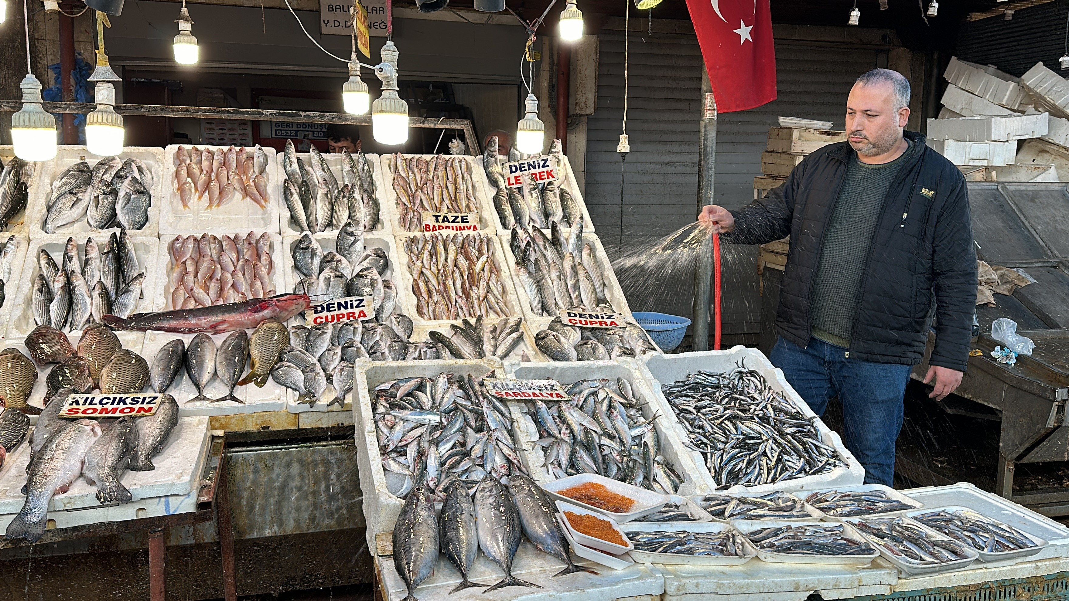 Mersin'de Balık Bolluğu: Hamsi ve Sardalyaya Halkın Talebi Arttı