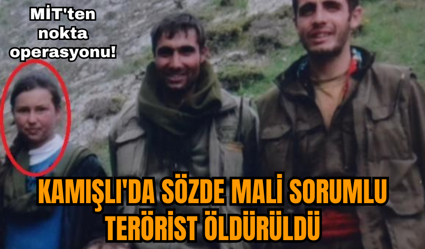 Kamışlı'da sözde mali sorumlu ter*rist öldü*üldü!