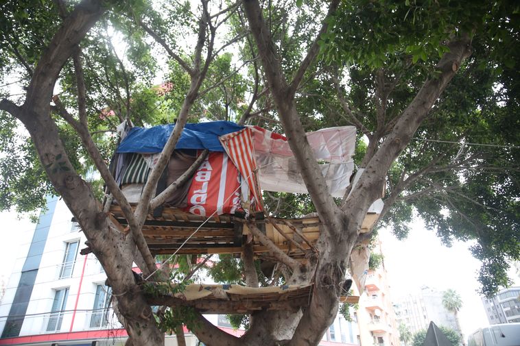 Mersin'de ağaçkondu yaptılar! Gören dönüp bir daha bakıyor