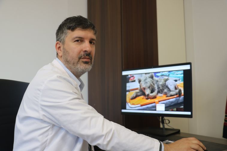 Prof. Dr. Onur Başbuğ