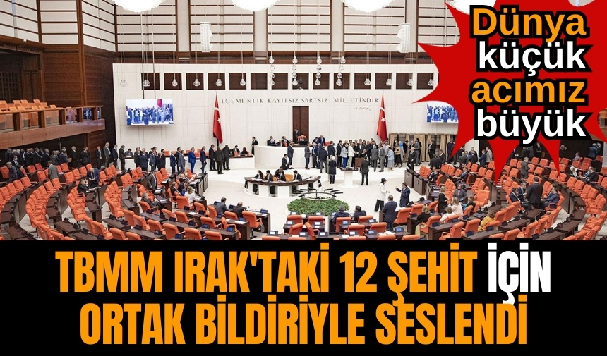 'Dünya küçük acımız büyük'