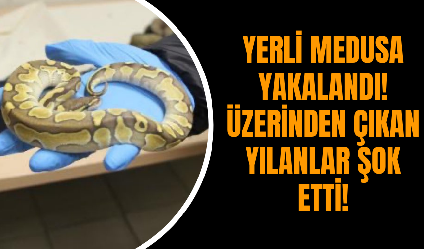 Yerli Medusa Yakalandı! Üzerinden Çıkan Yılanlar Şok Etti!