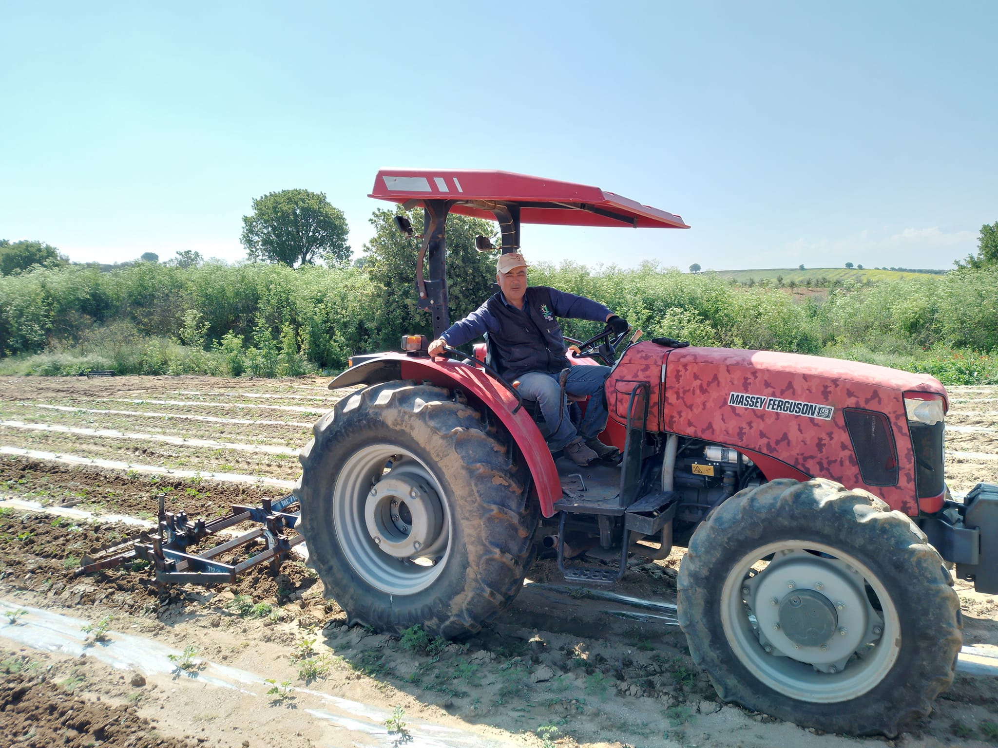 Manisa'da sır dolu cinayet