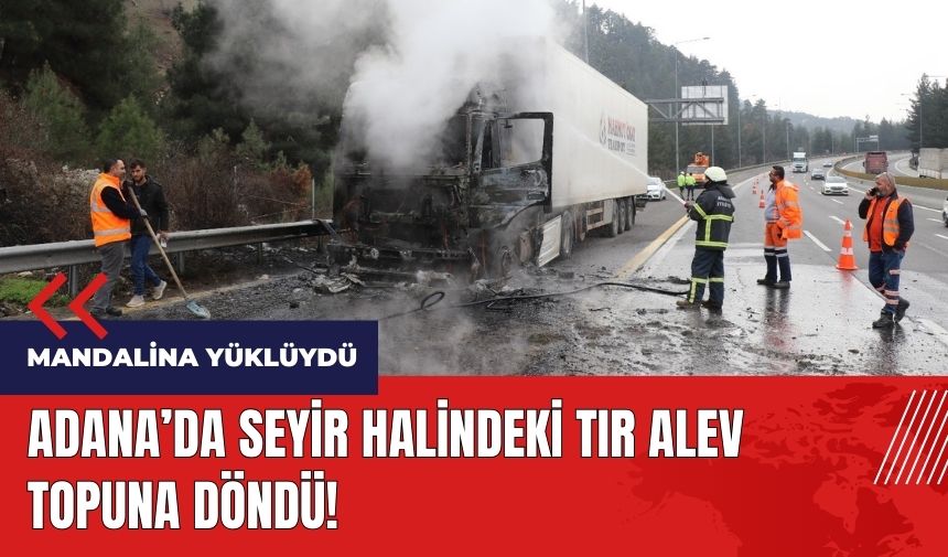 Adana'da mandalina yüklü tır alev topuna döndü