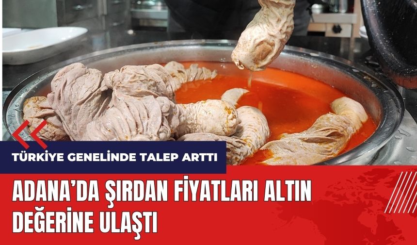 Adana'da şırdan fiyatları altın değerine ulaştı