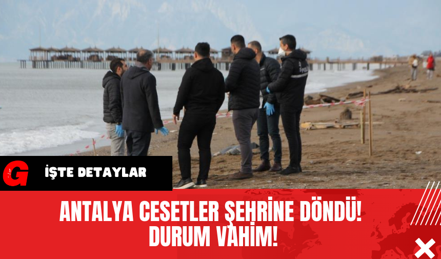 Antalya Ces*tler Şehrine Döndü! Durum Vahim!