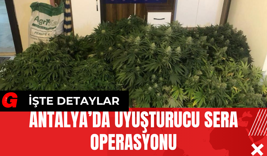 Antalya’da Uy*şturucu Sera Operasyonu