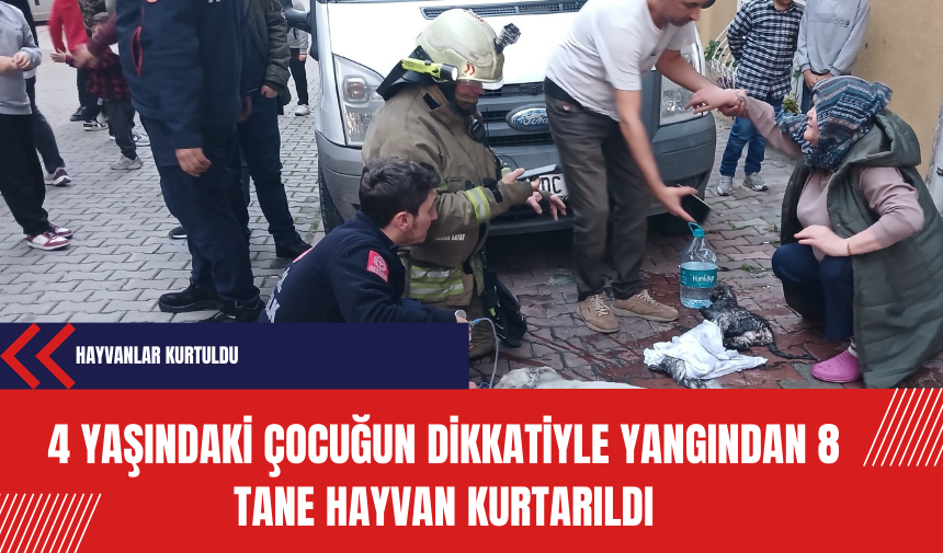 4 yaşındaki çocuğun dikkatiyle yangından 8 tane hayvan kurtarıldı