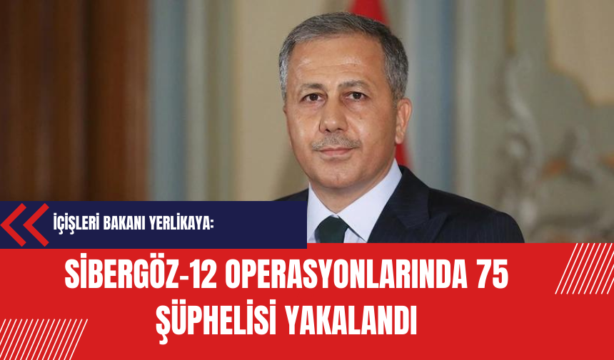 Sibergöz-12 Operasyonlarında 75 Şüphelisi Yakalandı