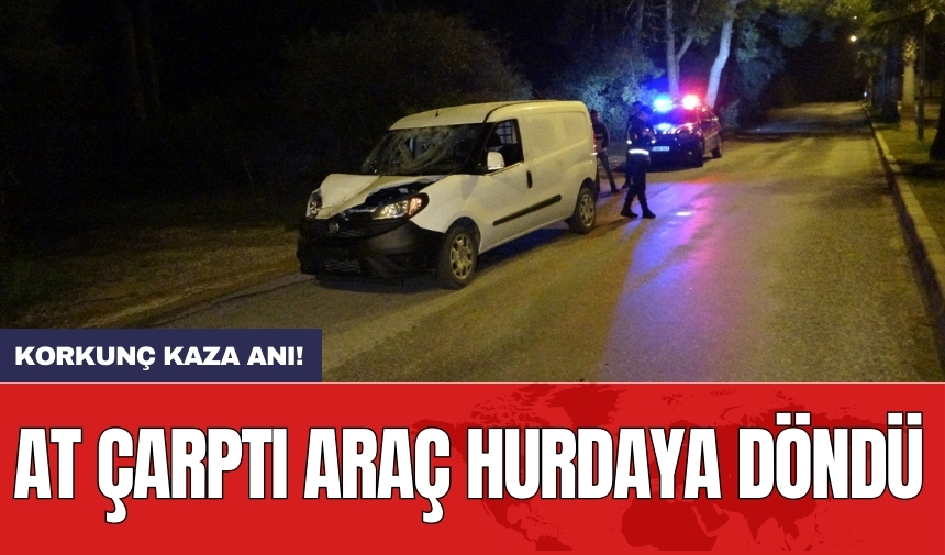 Manavgat'ta başıboş atla çarpışan araç hurdaya döndü