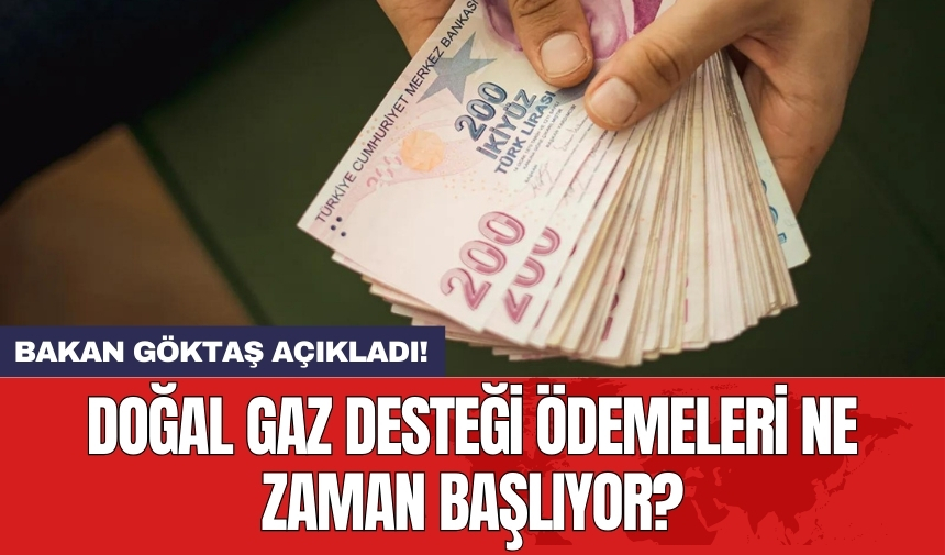 Bakan Göktaş açıkladı! Doğal gaz desteği ödemeleri ne zaman başlıyor? İşte detaylar