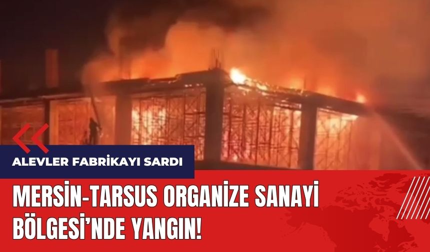 Mersin-Tarsus Organize Sanayi Bölgesi'nde yangın!